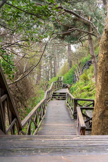 Escadas de madeira no meio da natureza para caminhar e correr