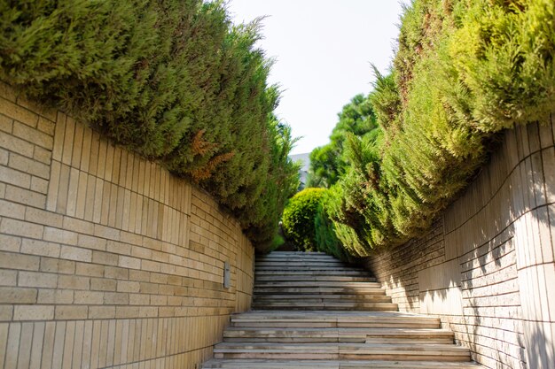 Escadas de pedra no jardim verde. área bem cuidada