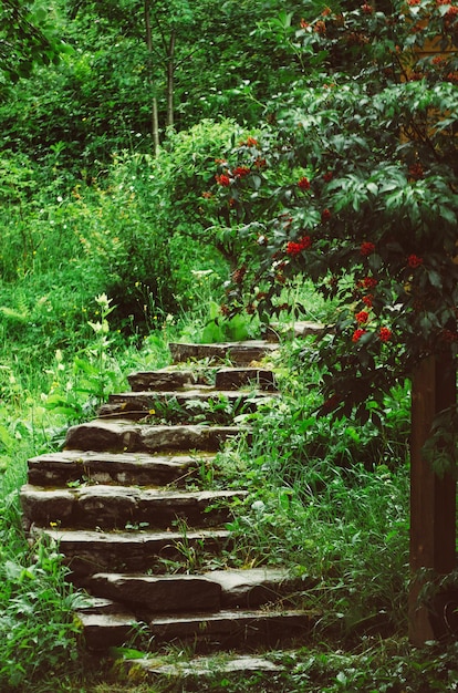 Escadas de pedra no parque com árvores verdes e grama. Conceito de viagens naturais