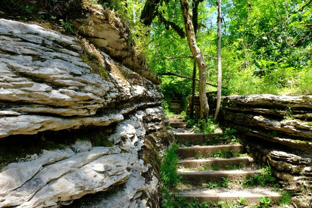 Escadas de pedra no parque