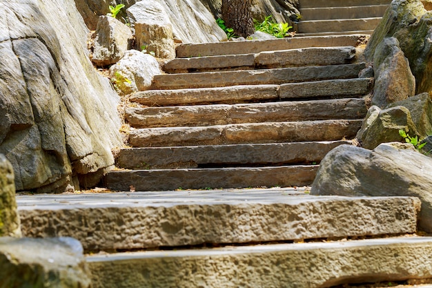 Escadas de pedra velhas bonitas da pedra pisa no parque do verão