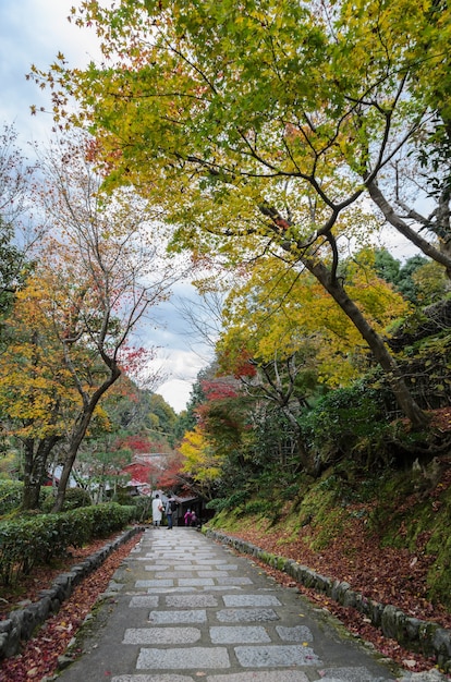 Escadas descendo com belas folhas de bordo coloridas de outono em Arashiyama, Kyoto, Japão