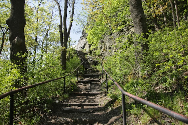 Escadas para as ruínas do castelo Andelska Hora