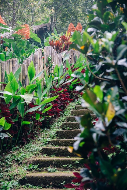 Escadas pedregosas velhas na cachoeira de Gitgit na ilha de Bali, Indonésia