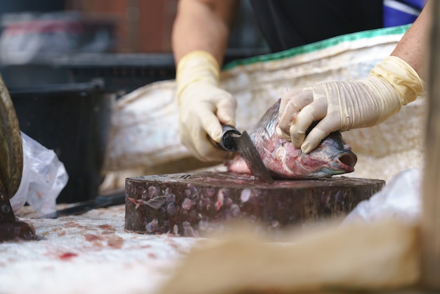 Escala de pescado en tablero de madera