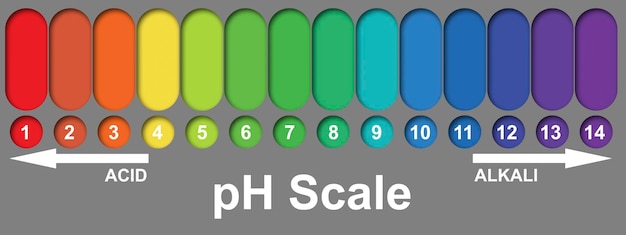 Foto escala de ph alcalino y ácido.