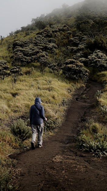 Los escaladores caminan hasta la cima del monte Merbabu