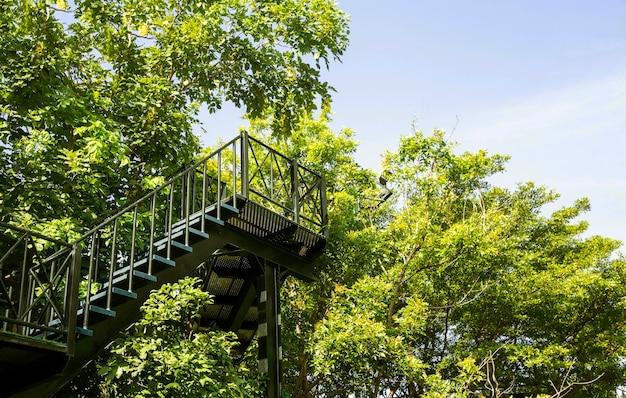 Escalera de acero al aire libre en el jardín de alta vista