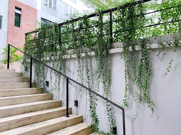 Foto escalera de árbol por edificio.