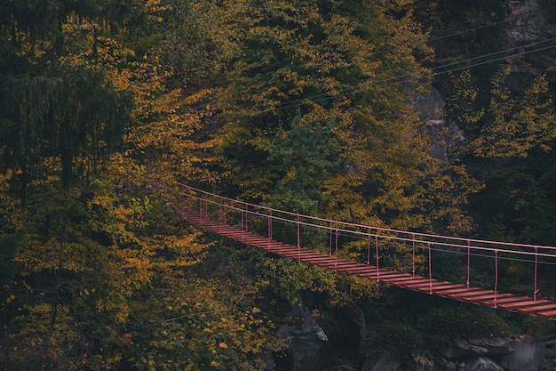 Escalera de cuerda en las montañas