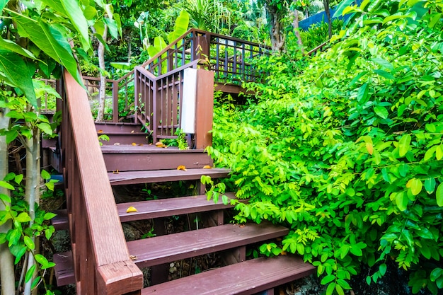 Escalera de madera al aire libre en el bosque