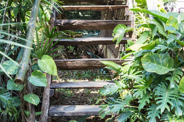 escalera de madera vieja en el jardín