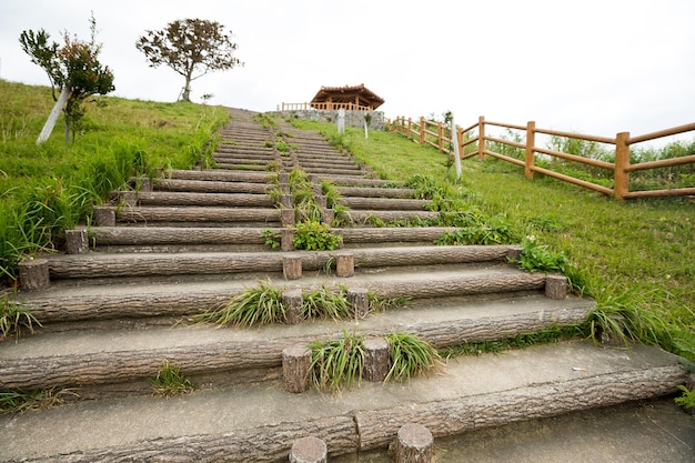 escalera en el parque