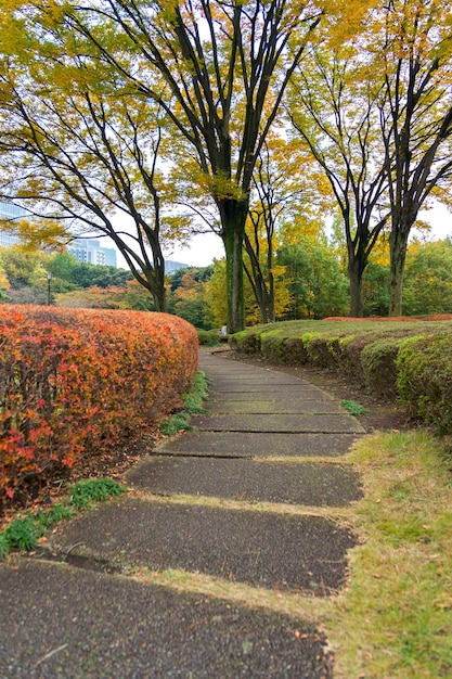 Escalera de piedra en un jardín japonés