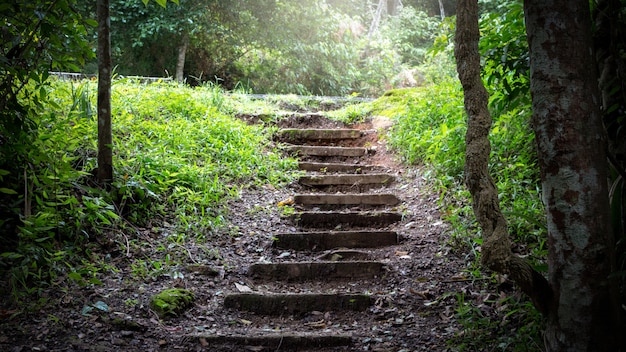 Una escalera de piedra que conduce a un pasillo iluminado por el sol