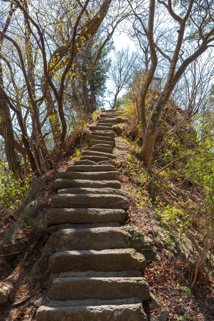 Escaleras antiguas de piedra natural de estilo japonés