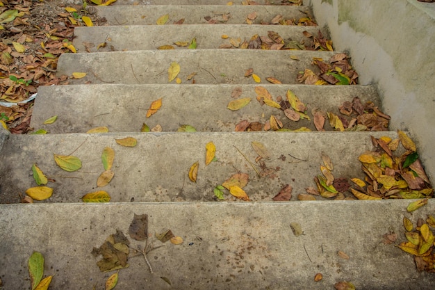 Escaleras de cemento de fondo