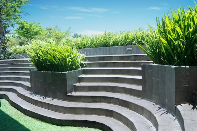 Escaleras de hormigón en el parque con hierba verde y plantas bajo un cielo azul Disparo al aire libre