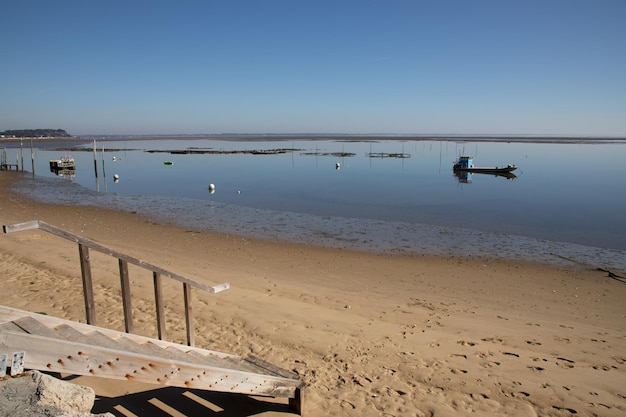 Escaleras de madera caminan a lo largo de la cuenca de la costa de arcachon acceso playa bahía mar océano atlántico en francia