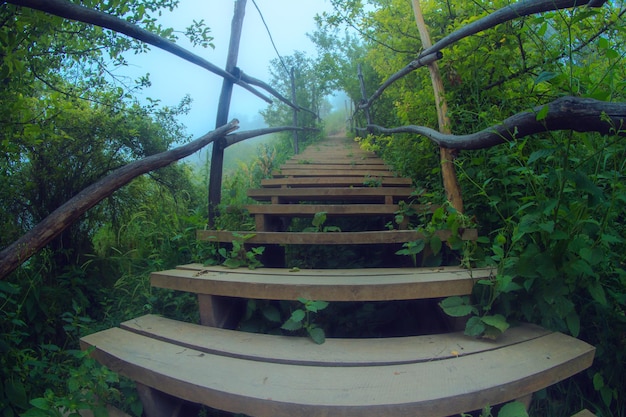 escaleras de madera