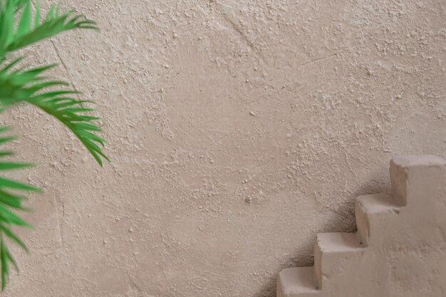 Escaleras de pared de hormigón gris y palmera Fondo de verano interior mínimo abstracto