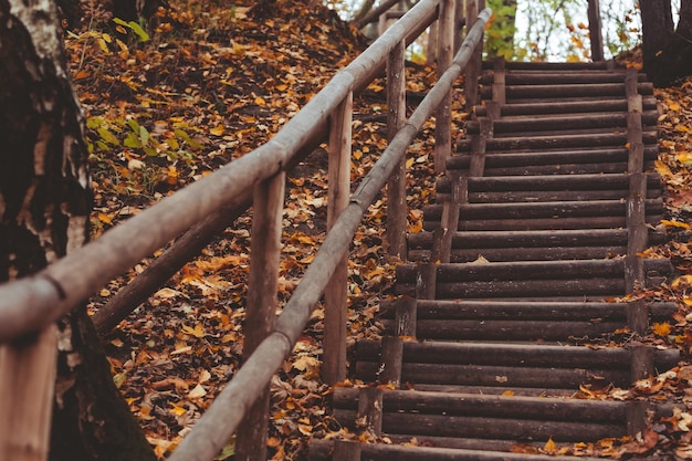 Escaleras en el parque de otoño