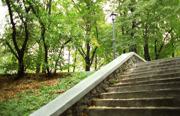 Escaleras en el parque de otoño