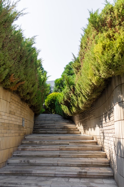 Foto escaleras de piedra en el jardín verde. área bien cuidada