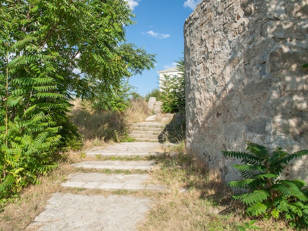 Escaleras de piedra junto al árbol con hojas verdes y paredes rocosas de una antigua fortaleza