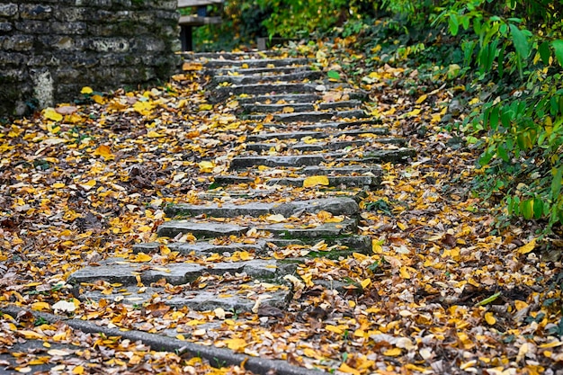 Escaleras de piedra vintage con hojas de otoño amarillas