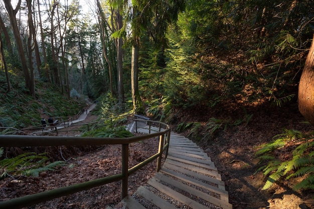 Escaleras que bajan a Wreck Beach en Vancouver