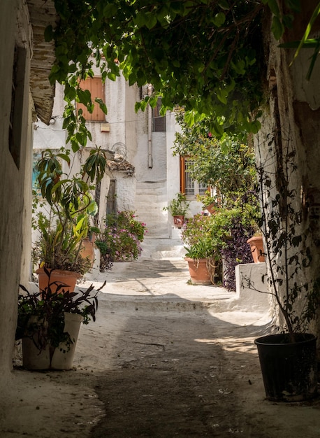 Escalones estrechos en el antiguo barrio de Anafiotika en Atenas junto a la Acrópolis