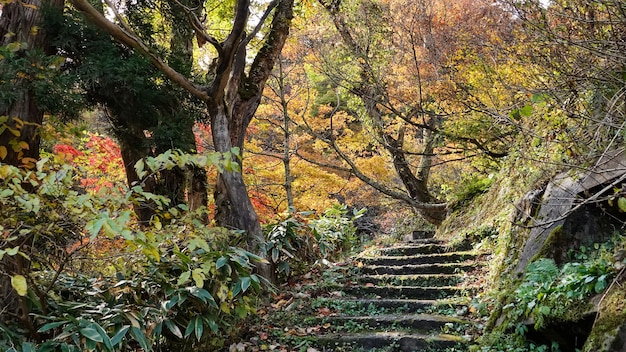 escalones de piedra al aire libre