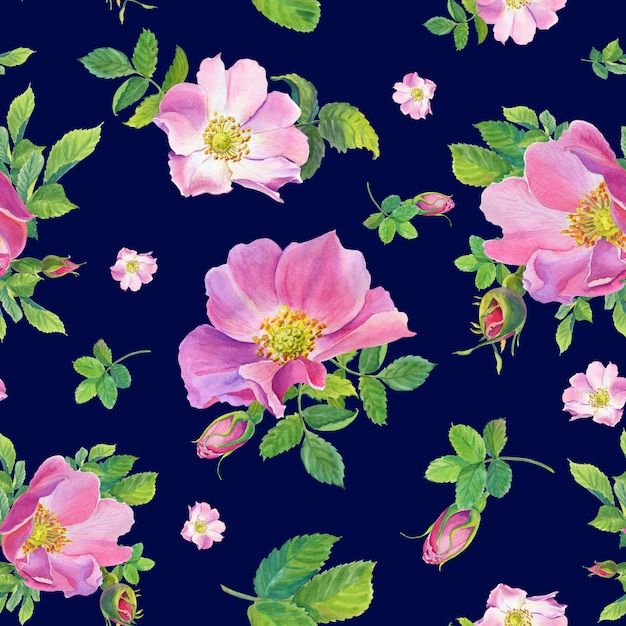 Escaramujo. Acuarela flores rosas silvestres sobre un fondo azul oscuro. ilustración.