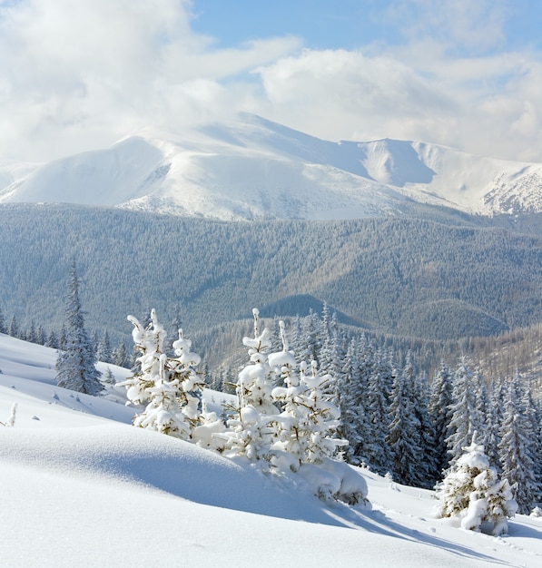 Foto escarcha de invierno y paisaje cubierto de nieve con vista al monte goverla