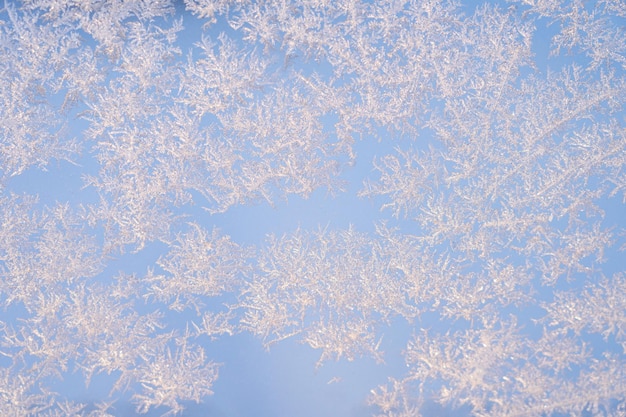 escarcha de nieve en forma de patrones naturales en el cristal de la ventana contra el fondo