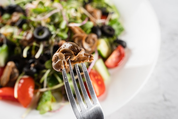 Escargot Traubenschnecke auf Gabel nahe grünem Salat auf weißem Hintergrund. Französische Gourmetküche.