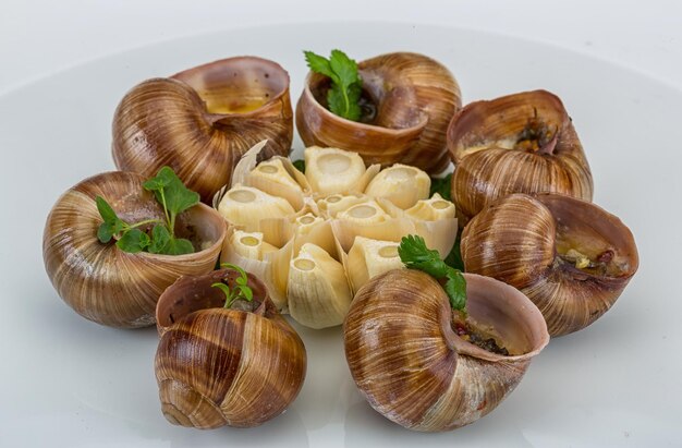 escargot