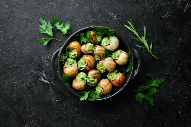 Escargots de Bourgogne caracóis assados com manteiga de alho e manjericão Comida tradicional francesa Vista superior Espaço livre para o seu texto