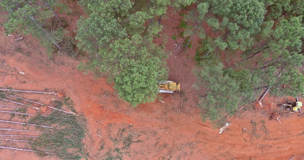 Escavadeira de desmatamento durante a preparação de um canteiro de obras no novo loteamento