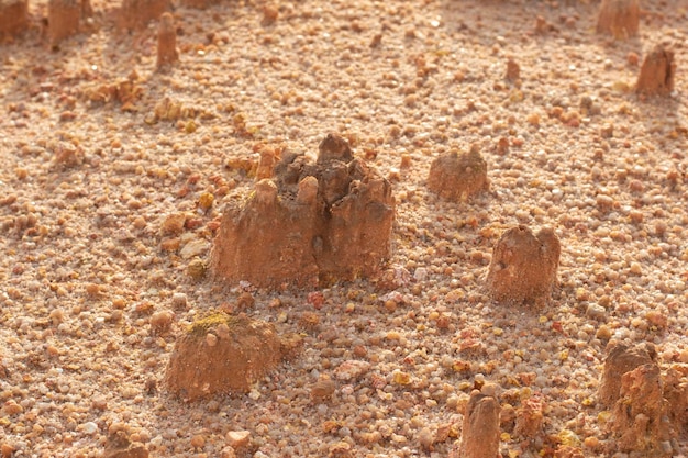 escena alrededor de la tierra desierta debido a la deforestación y la minería de tierra