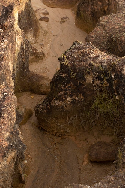 escena alrededor de la tierra desierta debido a la deforestación y la minería de tierra