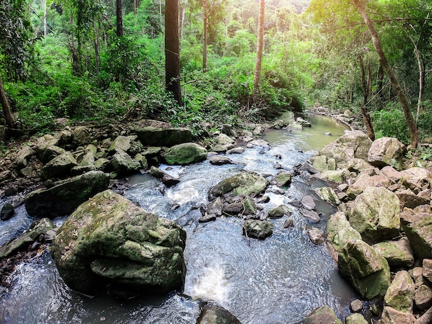 Escena de arroyo de cascada de otoño