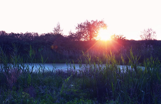 Escena del atardecer en el lago