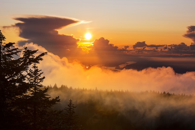 Escena del atardecer sobre el bosque de otoño