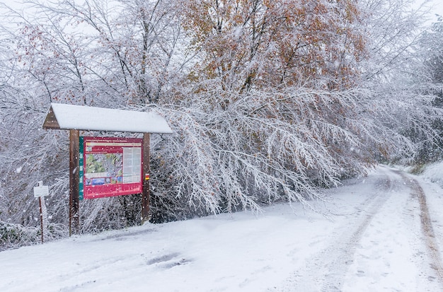 una escena de un camino nevado en otoño