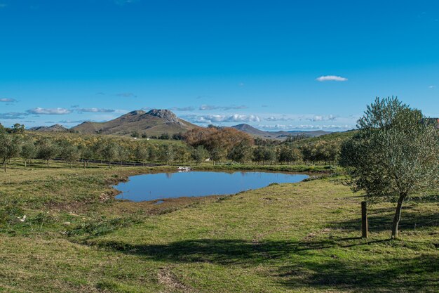 escena del campo