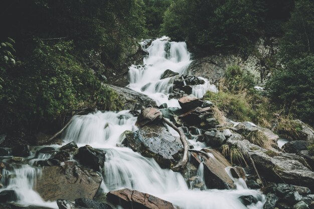 Escena de la cascada de la opinión del primer en las montañas, parque nacional de Dombay, Cáucaso, Rusia. Paisaje de verano, clima soleado y día soleado.