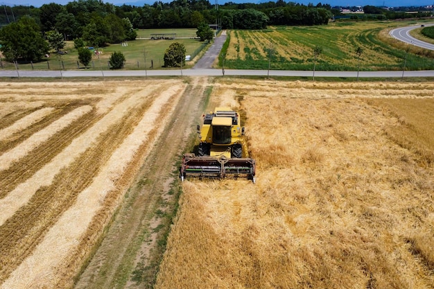 Foto escena de la cosecha en el campo italiano