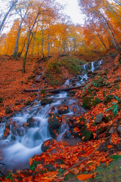 Escena de outono Sete lagos Bolu Turquia